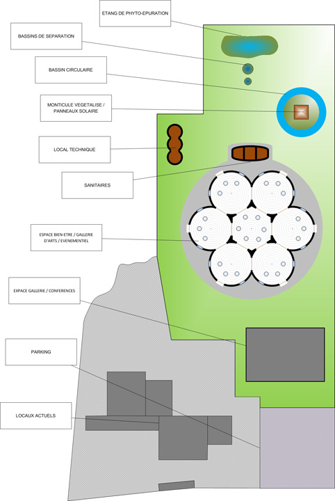 Papillon Models Papillon Models