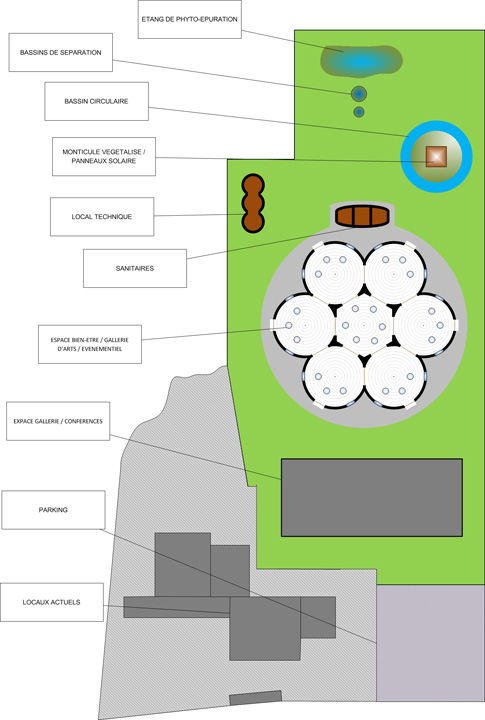 Papillon Models Papillon Models