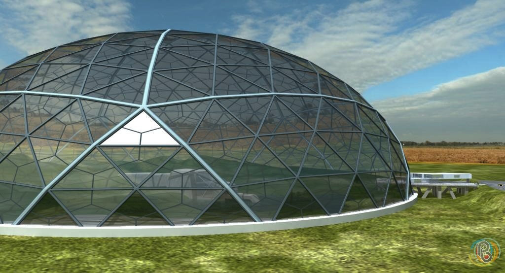 Papillon Models Papillon Models