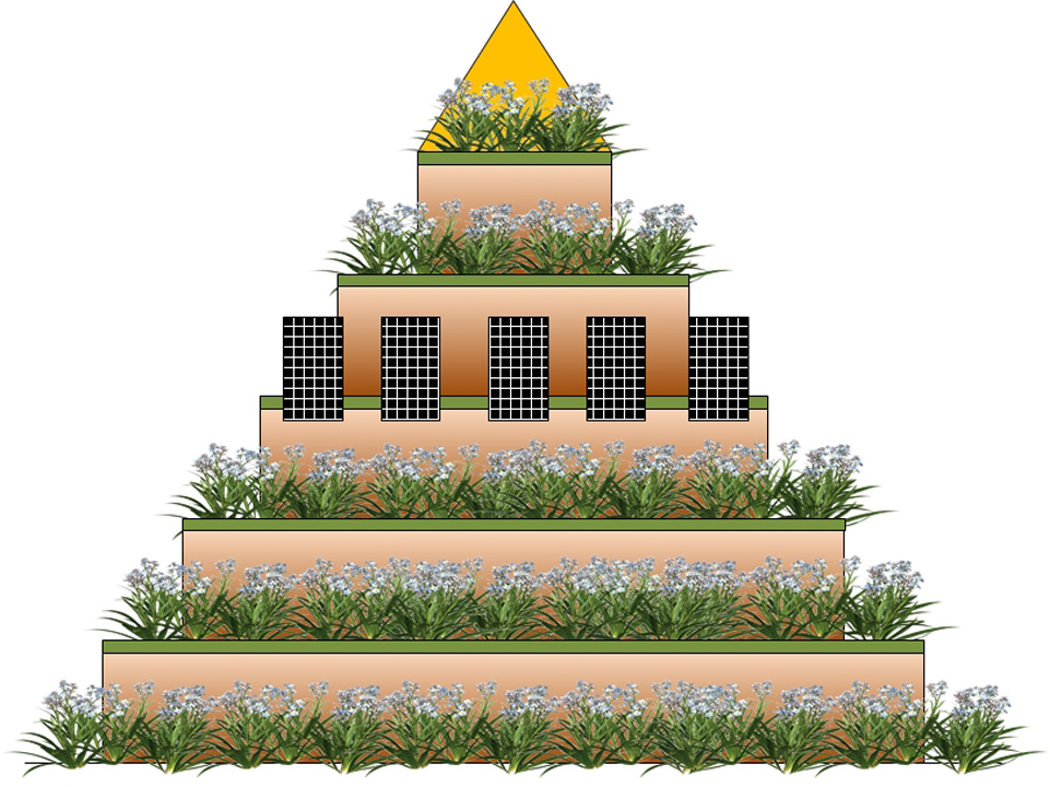 Papillon Models Papillon Models