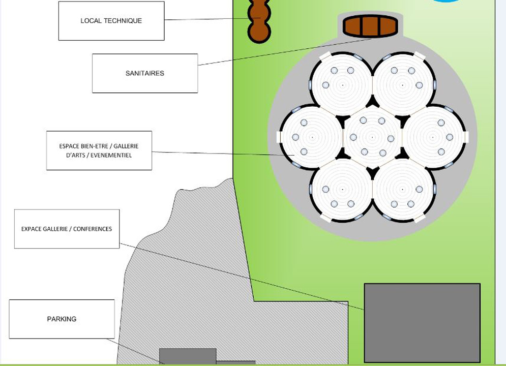 Papillon Models Papillon Models