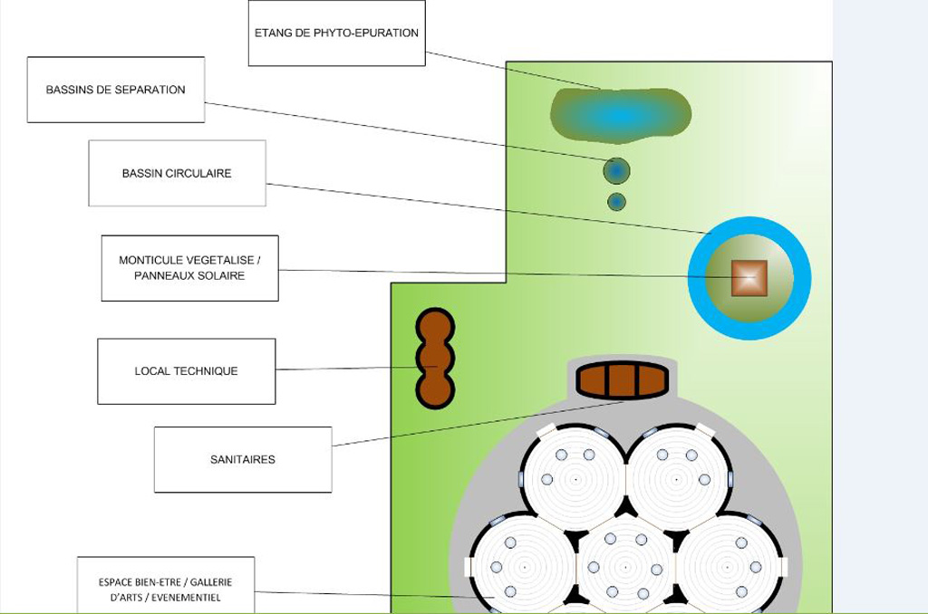 Papillon Models Papillon Models