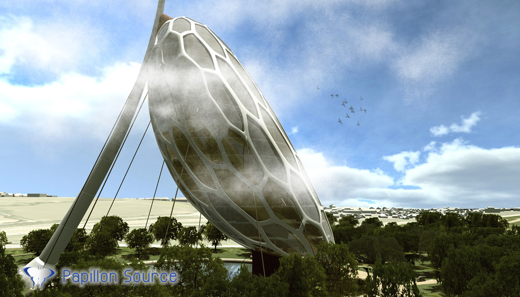 Papillon Models Papillon Models