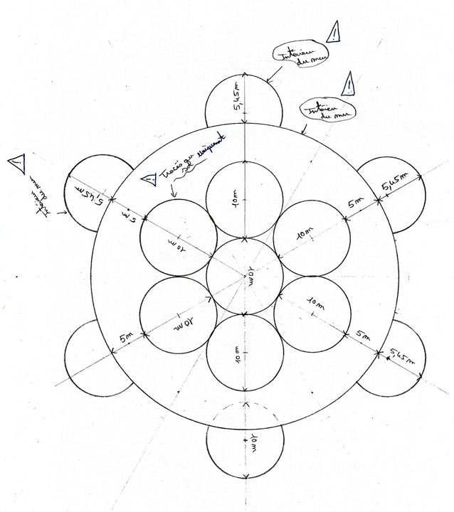 Papillon Models Papillon Models