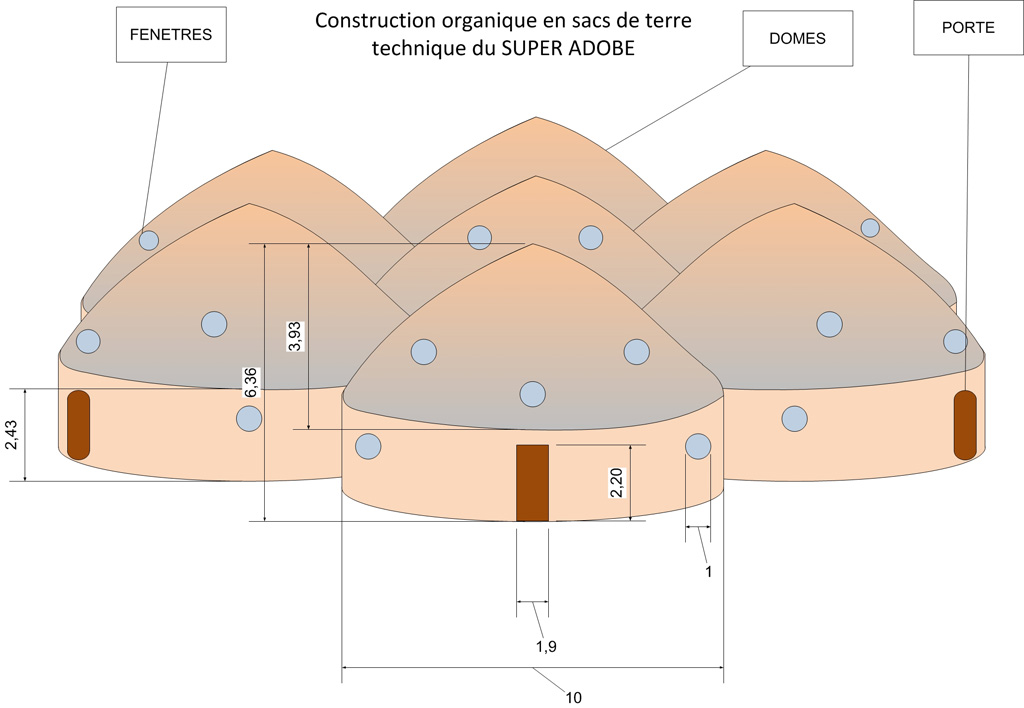 Papillon Models Papillon Models