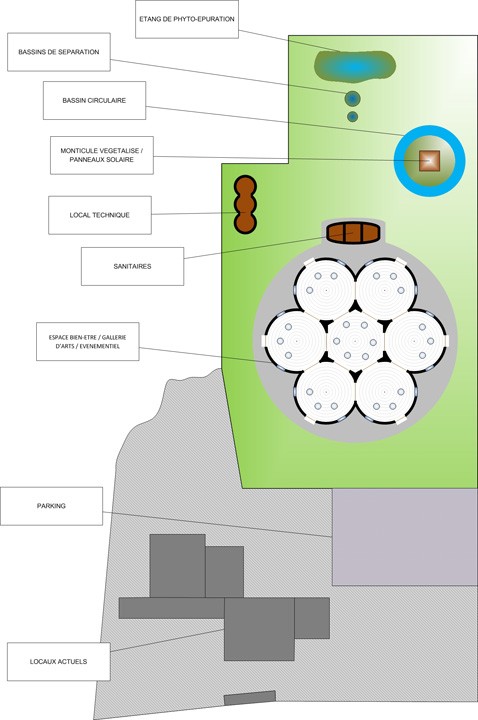 Papillon Models Papillon Models