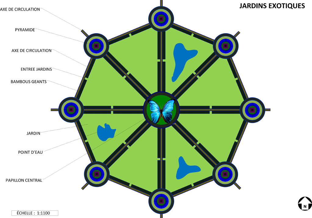 Papillon Models Papillon Models