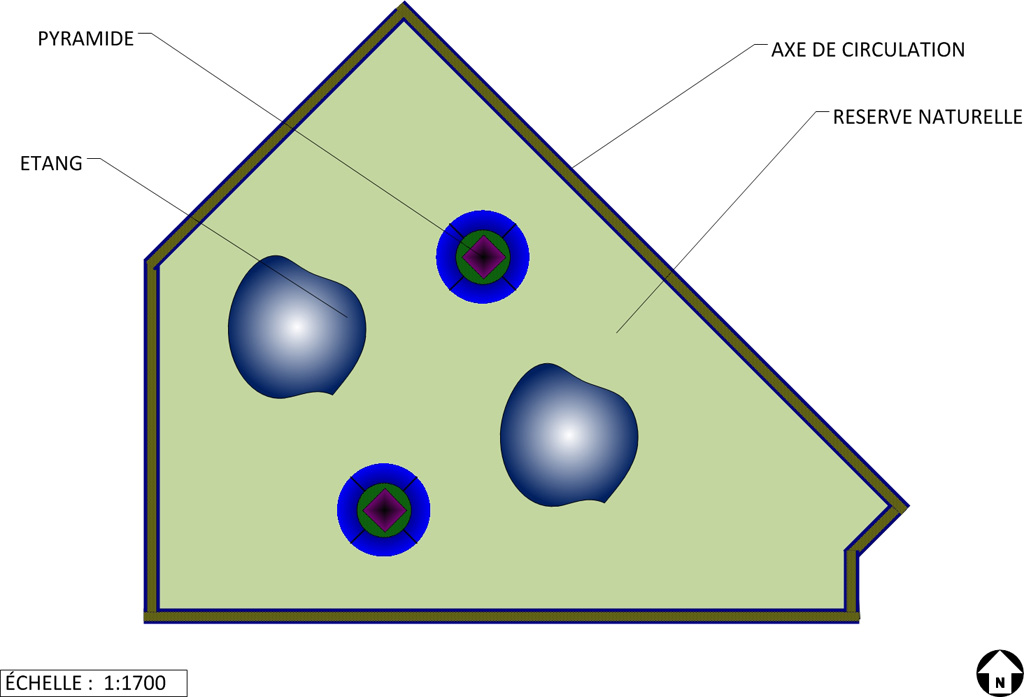 Papillon Models Papillon Models