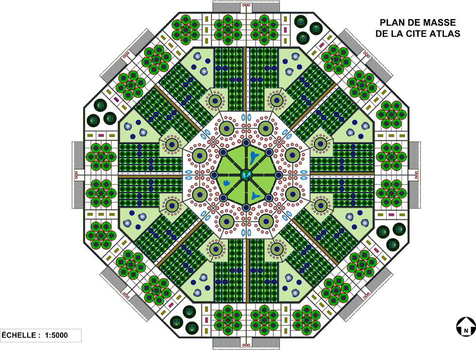 Papillon Models Papillon Models