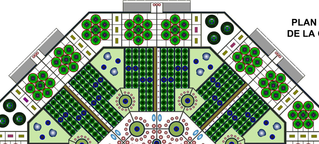 Papillon Models Papillon Models