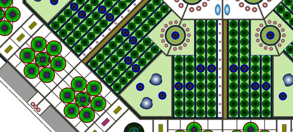 Papillon Models Papillon Models